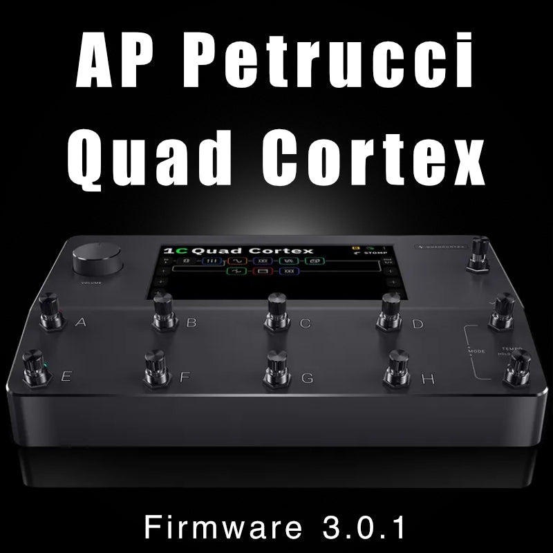 AP Petrucci QC